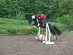 Benji 2001 16.3hh, gelding (sold) and now doing affilated showjumping
