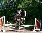 Cracker 2001 17.1hh gelding (sold) and gone to an eventing home