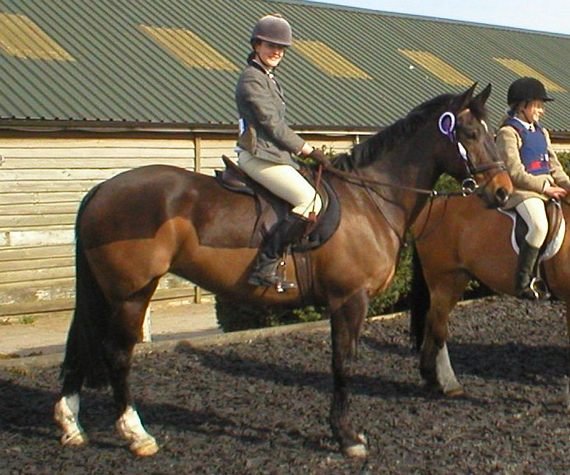 Click to see next picture